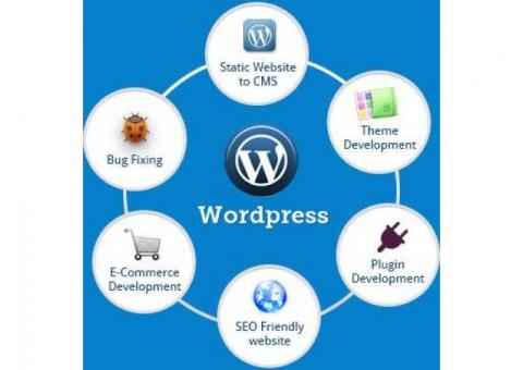 Best Wordpress Development Services Available