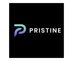 Best Website Design Service Offered by Pristine Web Design C...