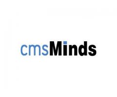 Hire WordPress Developers - cmsminds